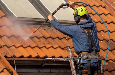 Démoussage et hydrofuge de toiture à Verpillière
